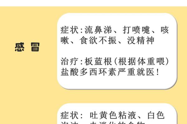 小狗拉稀呕吐不吃东西的解决办法及注意事项